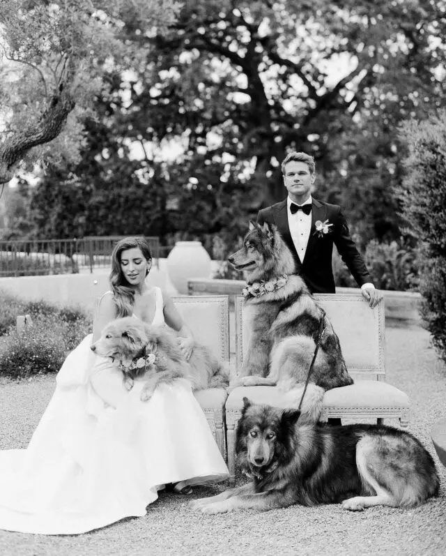 When your wolfdogs are an integral part of your life, it is only necessary that they are included in your wedding day!

Our beautiful bride @courtneyhazy has been raising wolfdogs (yes, dogs that are also part wolf) for over 5 years beginning with her late wolfdog Willow — her inspiration for her art and page @wander_with_willow. Adorned in floral collars, these beautiful pups made a stylish statement at C+M's wedding. 

Styling: @thestylishbride 
Photography: @josevilla 
Planning: @gellerevents 
Venue: @ojaivalleyinn 
Dress: @carolinaherrera 
Design & Floral: @revelryeventdesign 
Rentals: @theark_ @theonicollection @archiverentals @brighteventrentals @tacer_losangeles 
Stationery: @lehrandblack 

#thestylishbride #dogsofinstagram #dogsofinsta #weddingdayinspo #weddinginspo #weddinginspiration #2023brides #2024brides #bridetobe2023 #bridetobe2024 #recentlyengaged #isaidyes #bridalfashion #weddingfashion #nycstylist #newyorkcitystylist #bridallook #bridalaccessories #engagementshoot #weddingdressshopping #fashioninspo #bridalmakeup #newyorkbrides #bridetobe #brides #weddingdress
